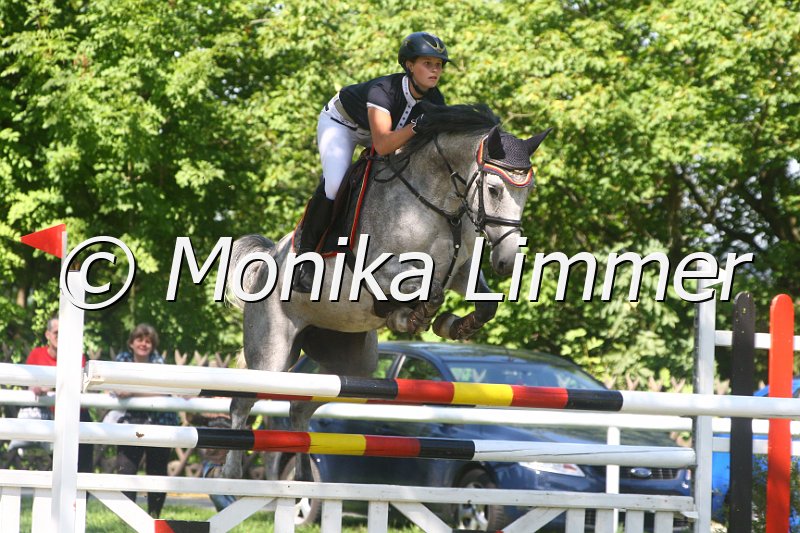 308M1723_Waikadia_Spring Mxx.JPG